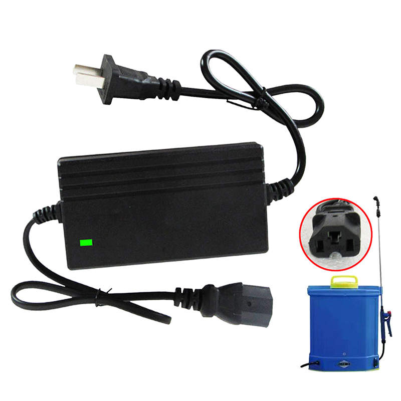 Chargeur de batterie au lithiu - Electric Gadget avis et prix